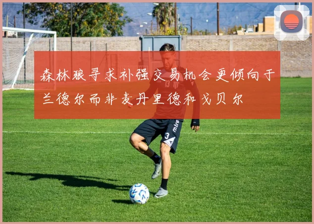 森林狼寻求补强交易机会更倾向于兰德尔而非麦丹里德和戈贝尔