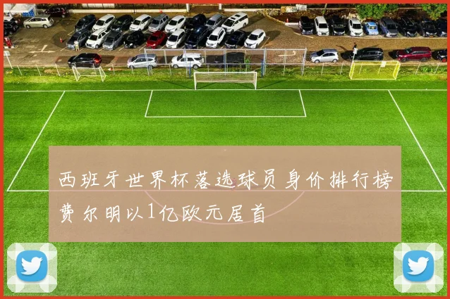 西班牙世界杯落选球员身价排行榜费尔明以1亿欧元居首